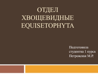 Отдел Хвощевидные Equisetophyta