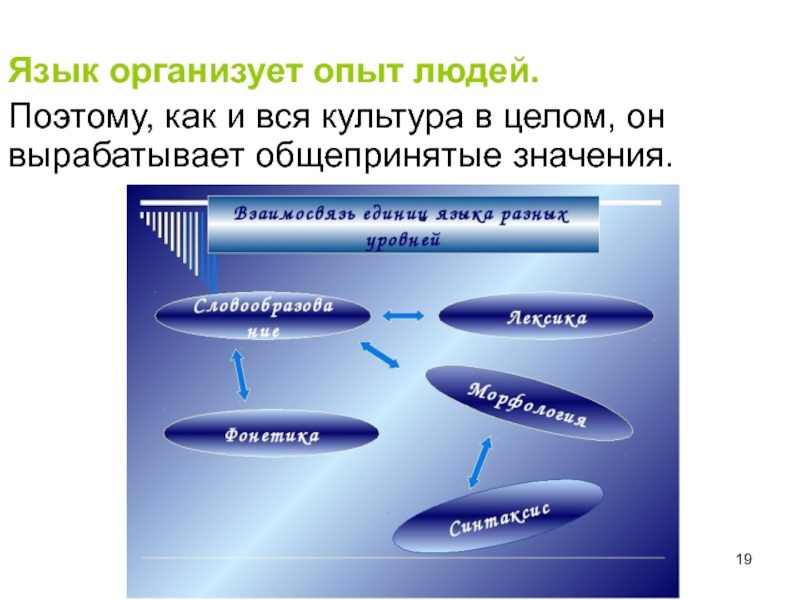 Организовать язык. Культура как система. Культура как система символов. Основные типы знаковых систем культуры. Культура как знаковая система.