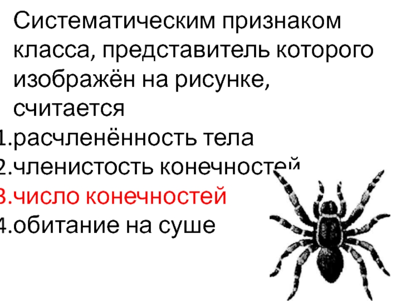 Презентация по зоологии 7 класс