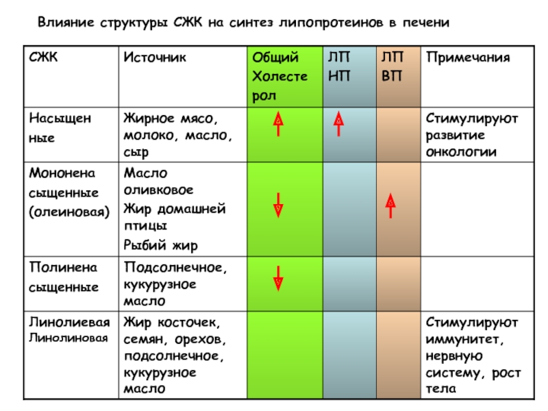 Влияние 20. Сыворотка жеребых кобыл. Сыворотка жеребых кобыл (СЖК). Сыворотка крови жеребых кобыл (СЖК). Синтез липопротеинов.