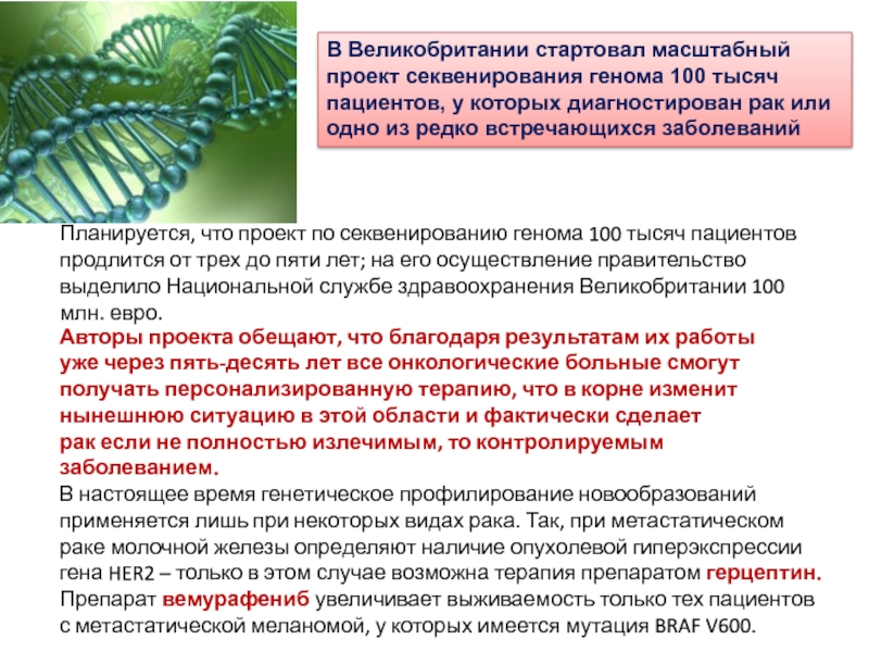 При расшифровке генома папоротника