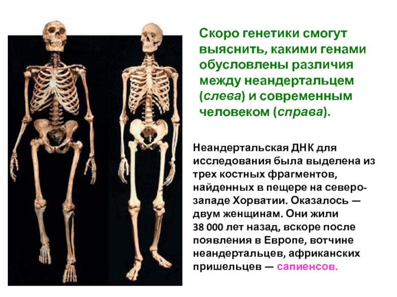 Реферат: Расшифровка генома человека и спорт