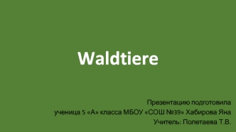 Waldtiere