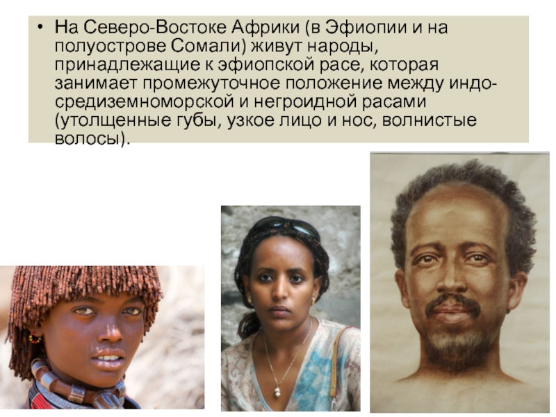 Губы негроидной расы. Эфиопы Эфиопия раса. Расы живущие в Африке.