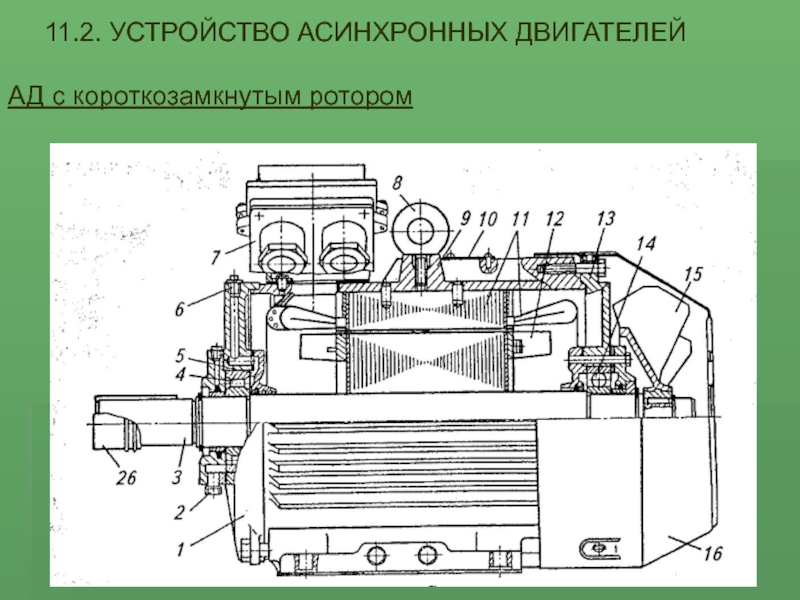 Схема асинхронной машины с короткозамкнутым ротором