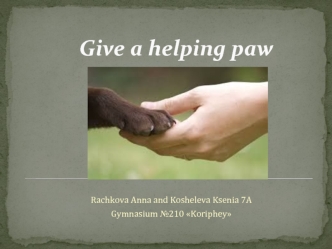 Homeless animals. Give a helping paw