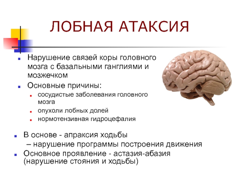 Координирует движения отдел мозга. Корковая атаксия неврология. Лобная атаксия астазия абазия. Лобная и мозжечковая атаксия.
