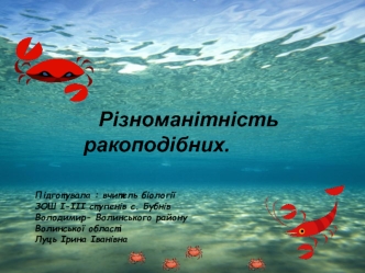 Різноманітність ракоподібних