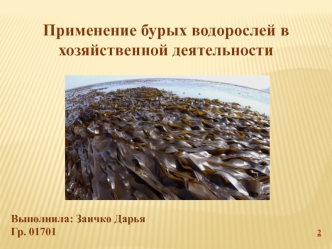 Применение бурых водорослей в хозяйственной деятельности водорослей