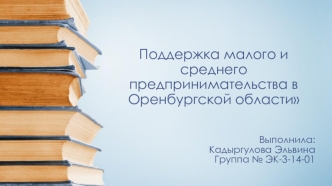 Поддержка малого и среднего предпринимательства в Оренбургской области