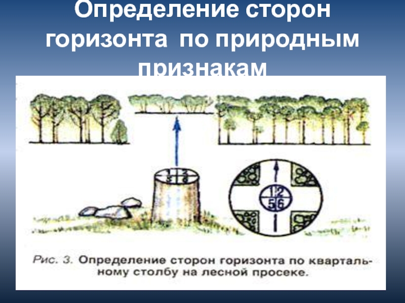 Природные признаки сторон горизонта