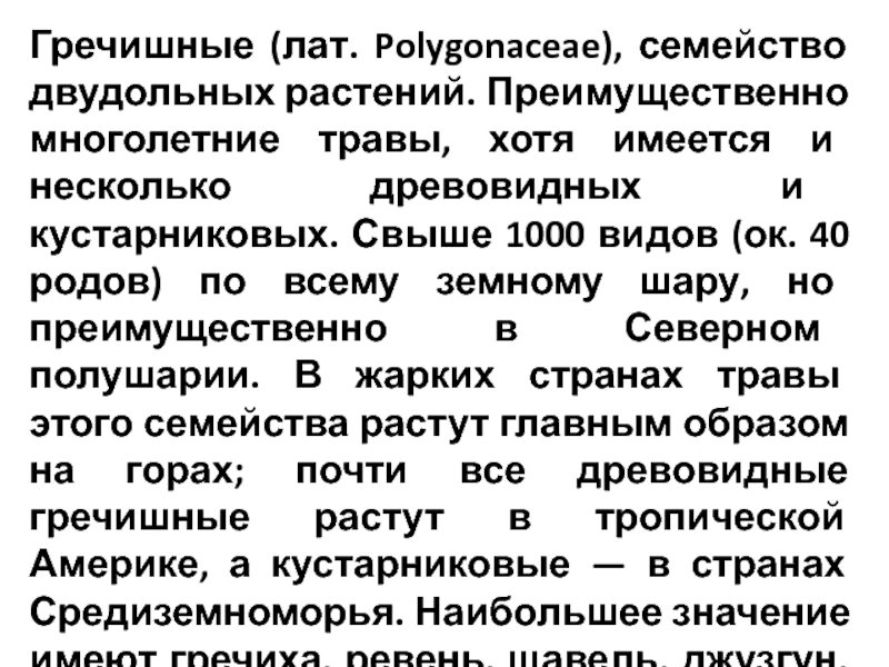 Семейство гречишных 6 букв