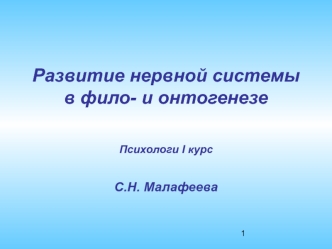 Развитие нервной системы в фило- и онтогенезе