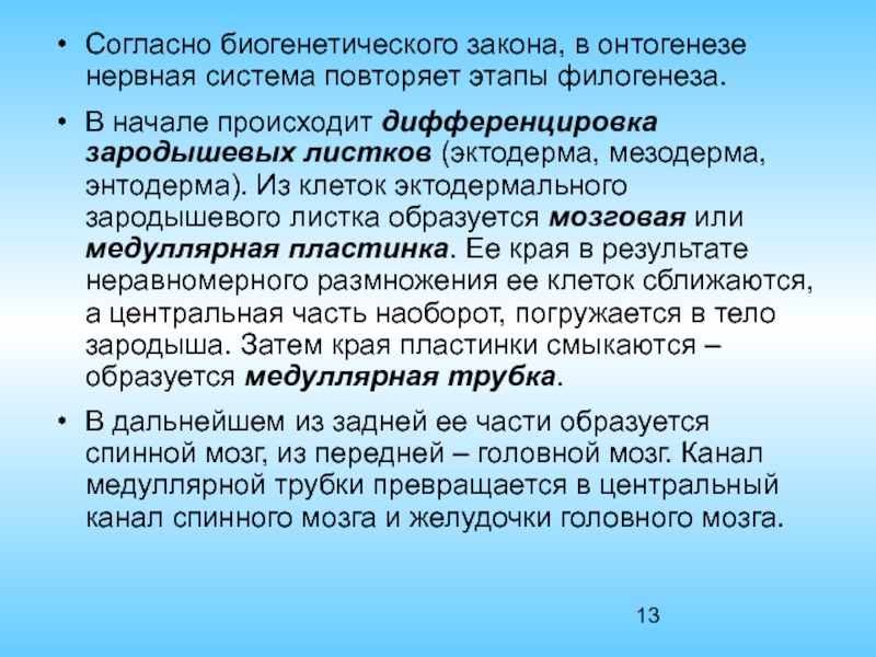 Цефализация. Фило и онтогенез нервной системы. Эволюция нервной системы. Развитие спинного мозга в фило и онтогенезе. Формирование Узловой нервной системы.