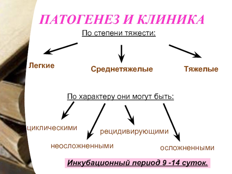 Патогенез сальмонеллеза схема