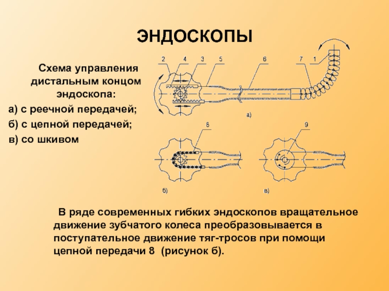 Работа эндоскопа