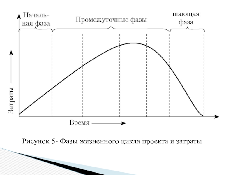 На какую фазу приходится максимальный уровень затрат на ресурсы по управлению проектом