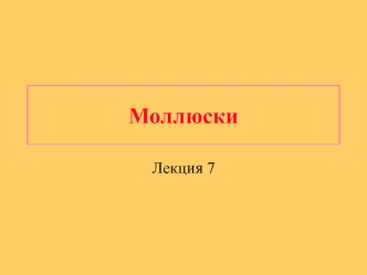 Моллюски. Характеристика и систематика типа Моллюски. Основные прогрессивные черты организации