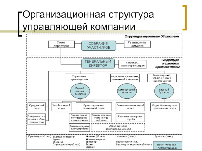 Структура управляющей компании жкх схема образец