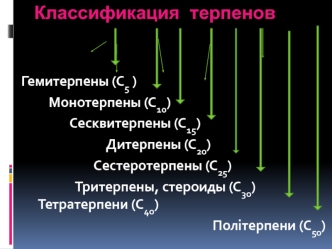 Классификация терпенов