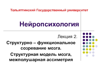 Структурно – функциональное созревание мозга. Структурная модель мозга, межполушарная ассиметрия