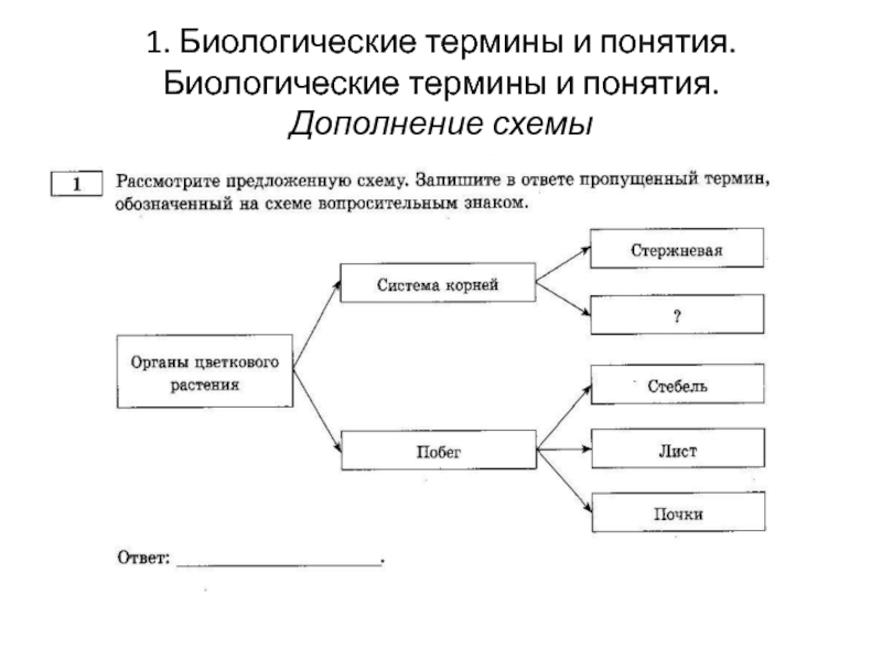 Какие термины и понятия