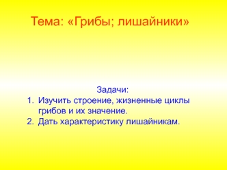 Грибы, лишайники. (Тема 7)