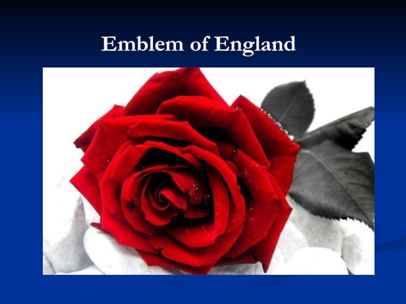 Emblem of England