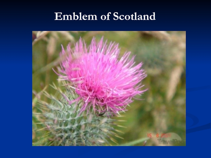 Emblem of Scotland