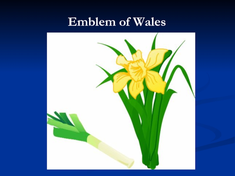 Emblem of Wales