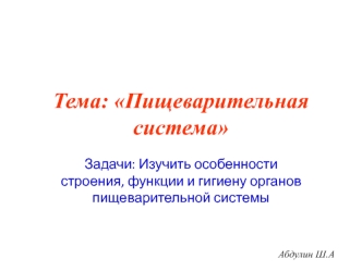 Пищеварительная система