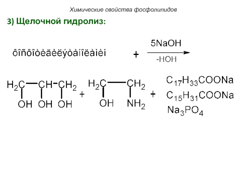 Щелочной гидролиз изопропилацетата реакция. Щелочной гидролиз фосфолипидов. Щелочной гидролиз фосфолипидов реакция. Фосфатидилэтаноламин щелочной гидролиз. Фосфолипиды щелочной гидролиз.