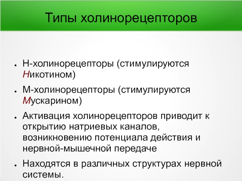 Н холинорецепторы. Типы н-холинорецепторов. Локализация nn-холинорецепторов. М И Н холинорецепторы. Холинорецепторы физиология.