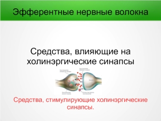 Эфферентные нервные волокна. Средства, влияющие на холинэргические синапсы Средства, стимулирующие холинэргические синапсы