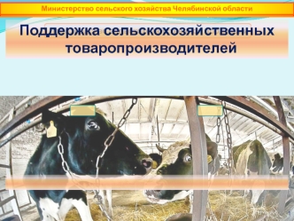 Поддержка сельскохозяйственных товаропроизводителей Челябинской области