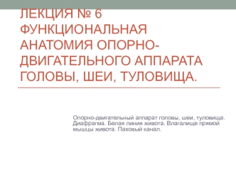 Функциональная анатомия опорно-двигательного аппарата головы, шеи, туловища