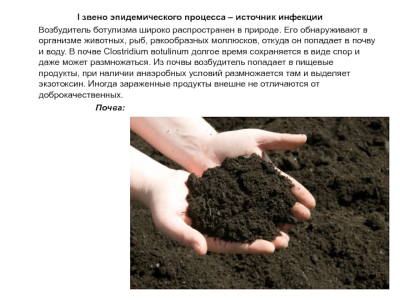 Повышение плодородие почвы называется. Гумус почвы. Почва гумус плодородие. Черноземы самые плодородные почвы в мире. Плодородие черноземных почв.