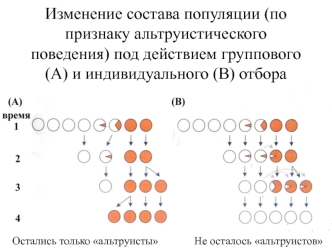 Динамика популяций