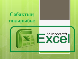 Microsoft Office Excel