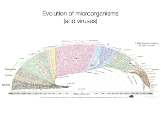 Evolution of microorganisms (and viruses)