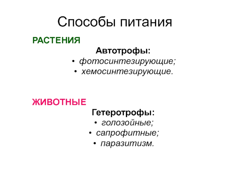 Что относится к автотрофам. Голозойный способ питания. Растения гетеротрофы. Голозойный Тип питания. Растения автотрофы или гетеротрофы.