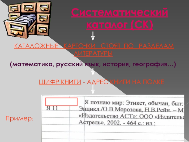 Книгу адрес. Карточка систематического каталога. Каталожные разделители для систематического каталога. Карточки систематического каталога пример. Карточка систематического каталога образец.