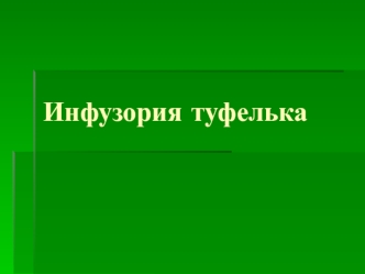 Инфузория туфелька