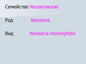 Семейство Neisseriaceae. Эпидемическая обстановка по менингококковой инфекции