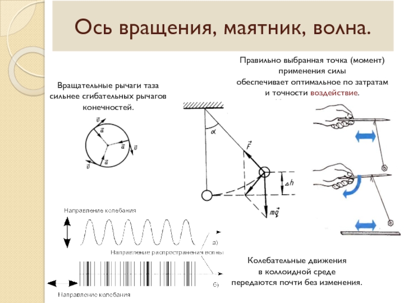 Изобразить математический маятник в крайней правой точке и покажите на чертеже силы действующие