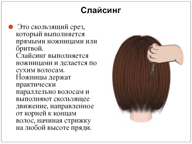 Что такое поперечное сечение волос