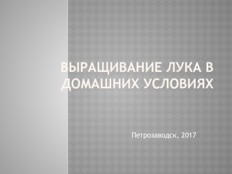 Выращивание лука в домашних условиях