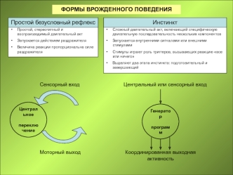 Формы врожденного и приобретенного поведения