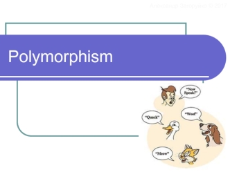 Polymorphism. Создание проекта