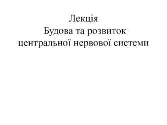 Будова та розвиток центральної нервової системи